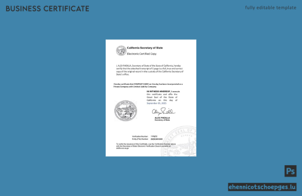 Elektronisches Registrierungszertifikat für Kalifornien (USA) – Beispiel als Word- und PDF-Datei